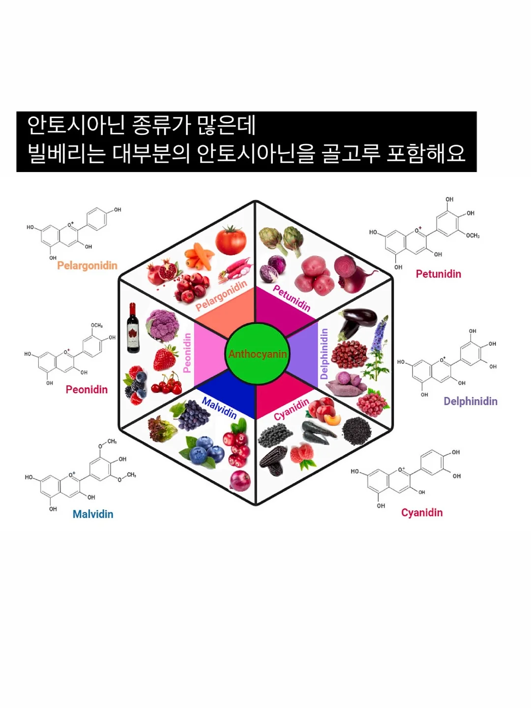 진우린 탕2종 & 버섯 소불고기 9