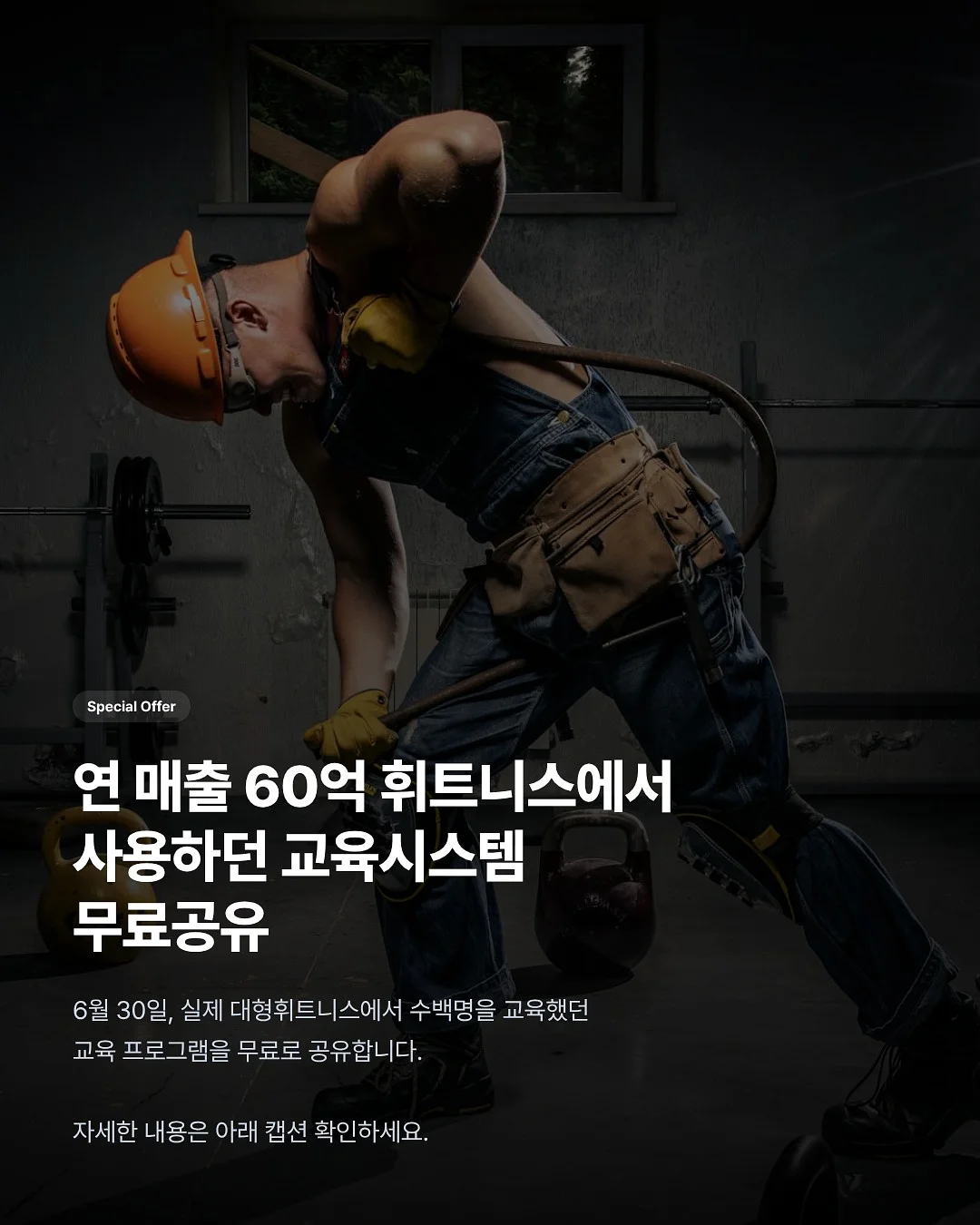 부분 가발 6