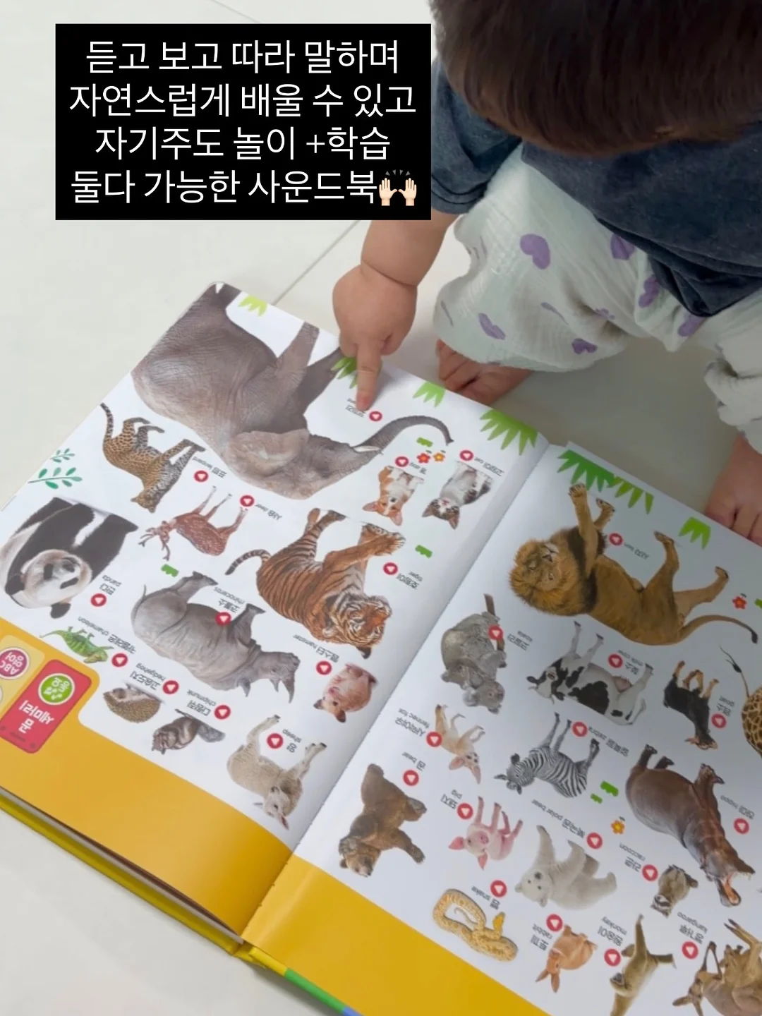 젤리스모크티 7