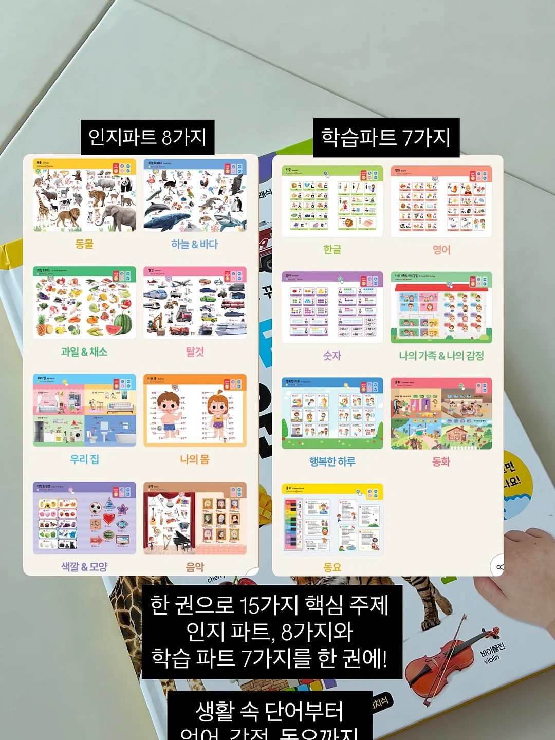 젤리스모크티 8