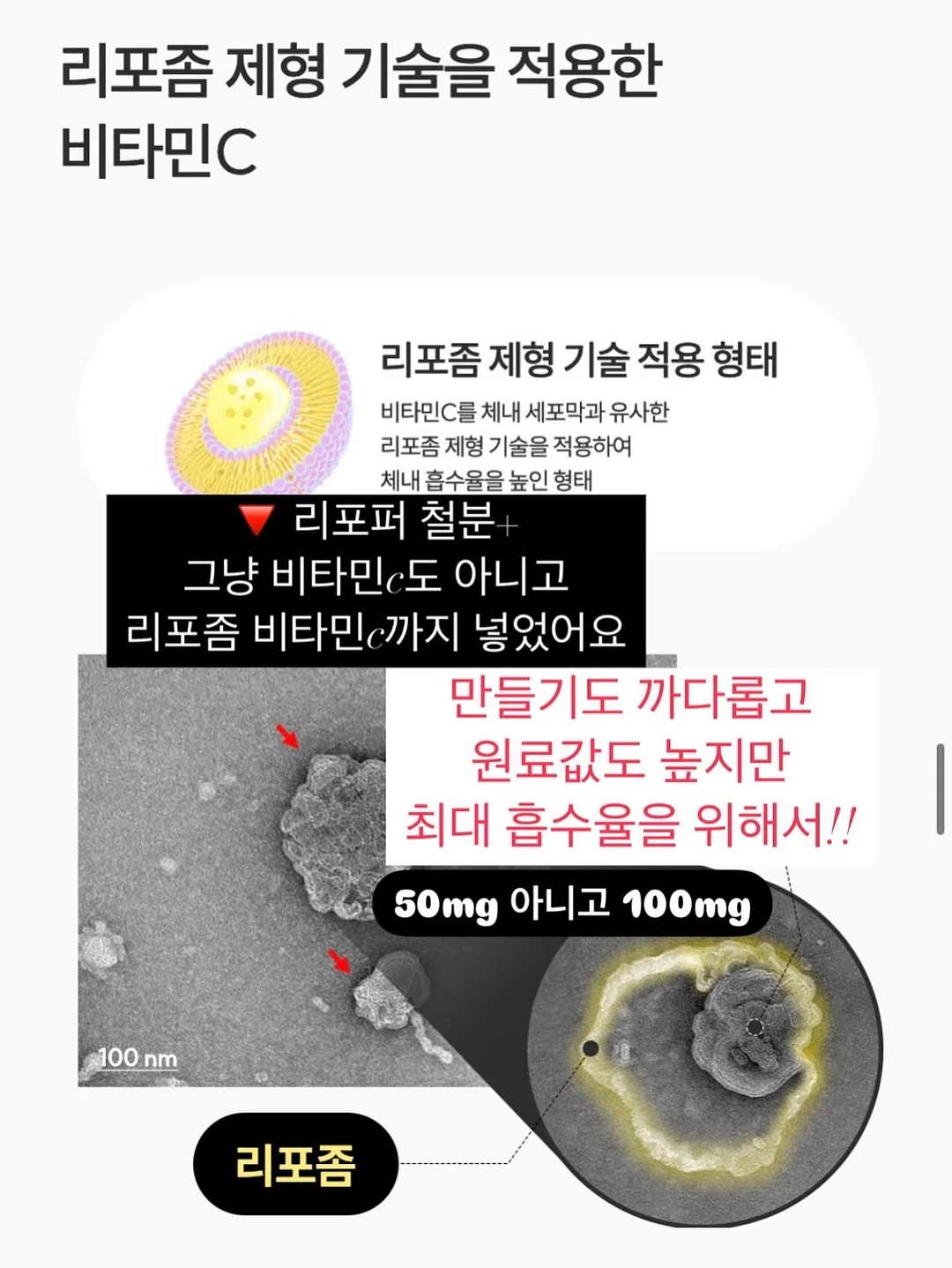운동 루틴 5