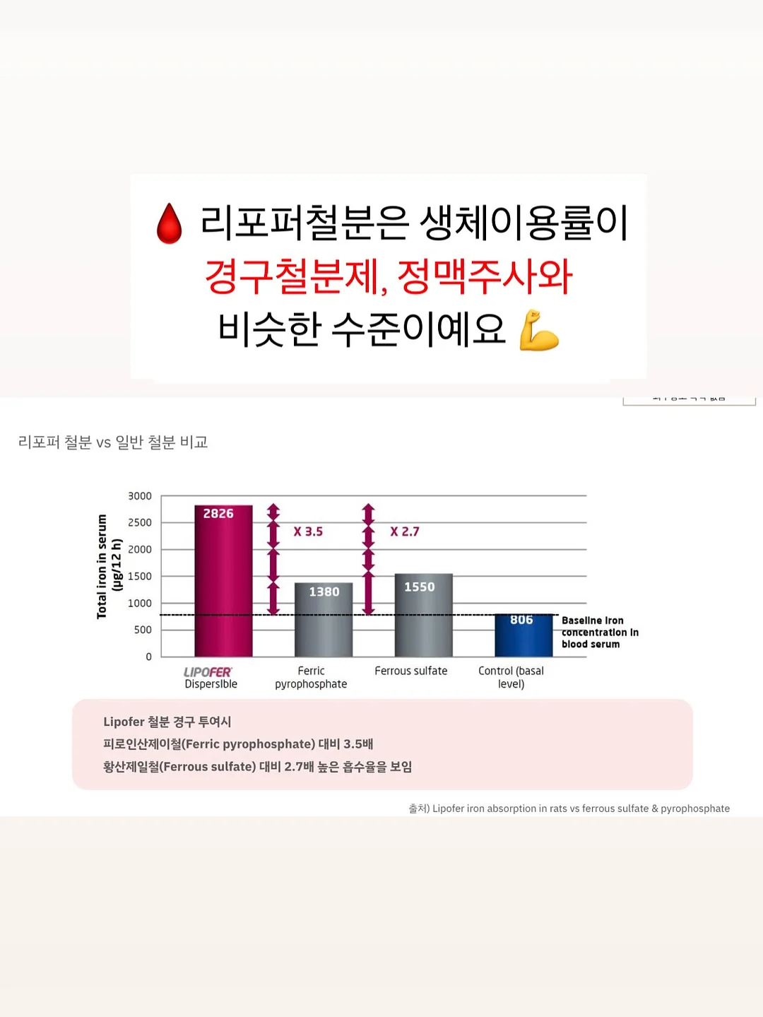 운동 루틴 7