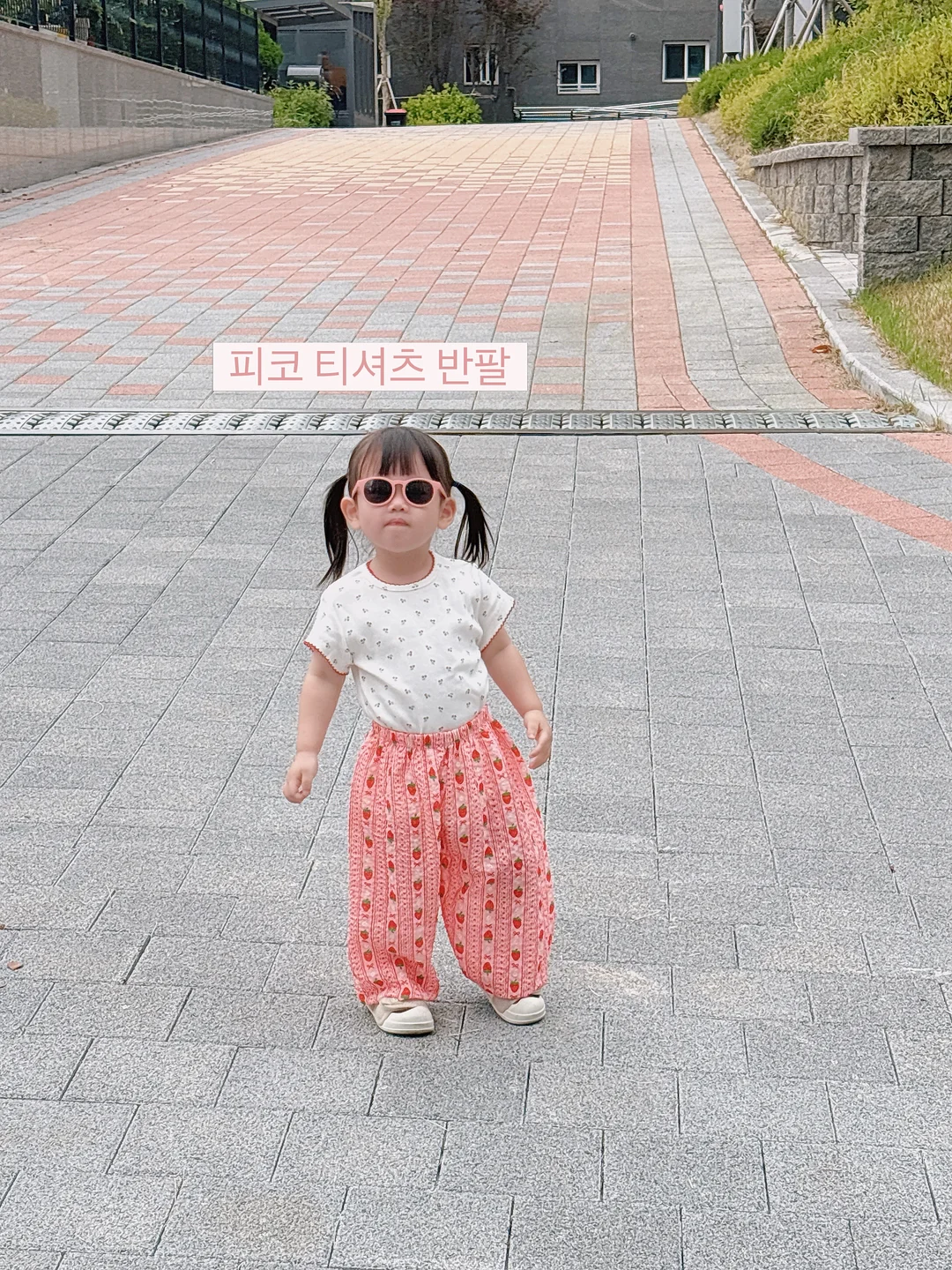 말랑이장족 4