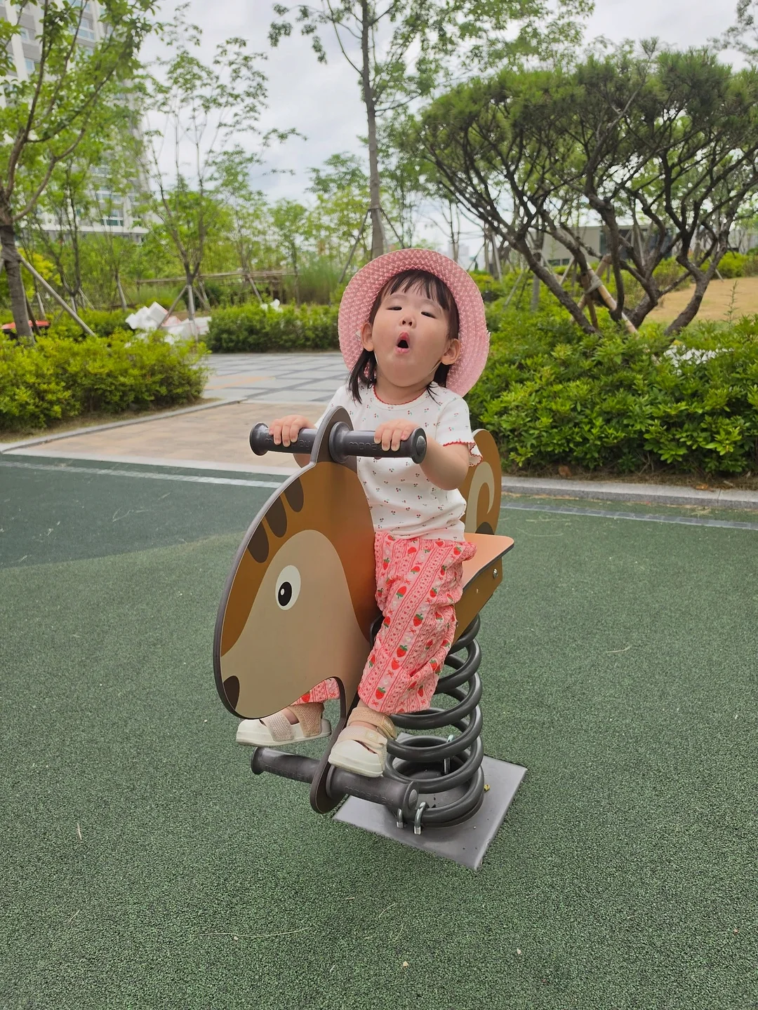 말랑이장족 5