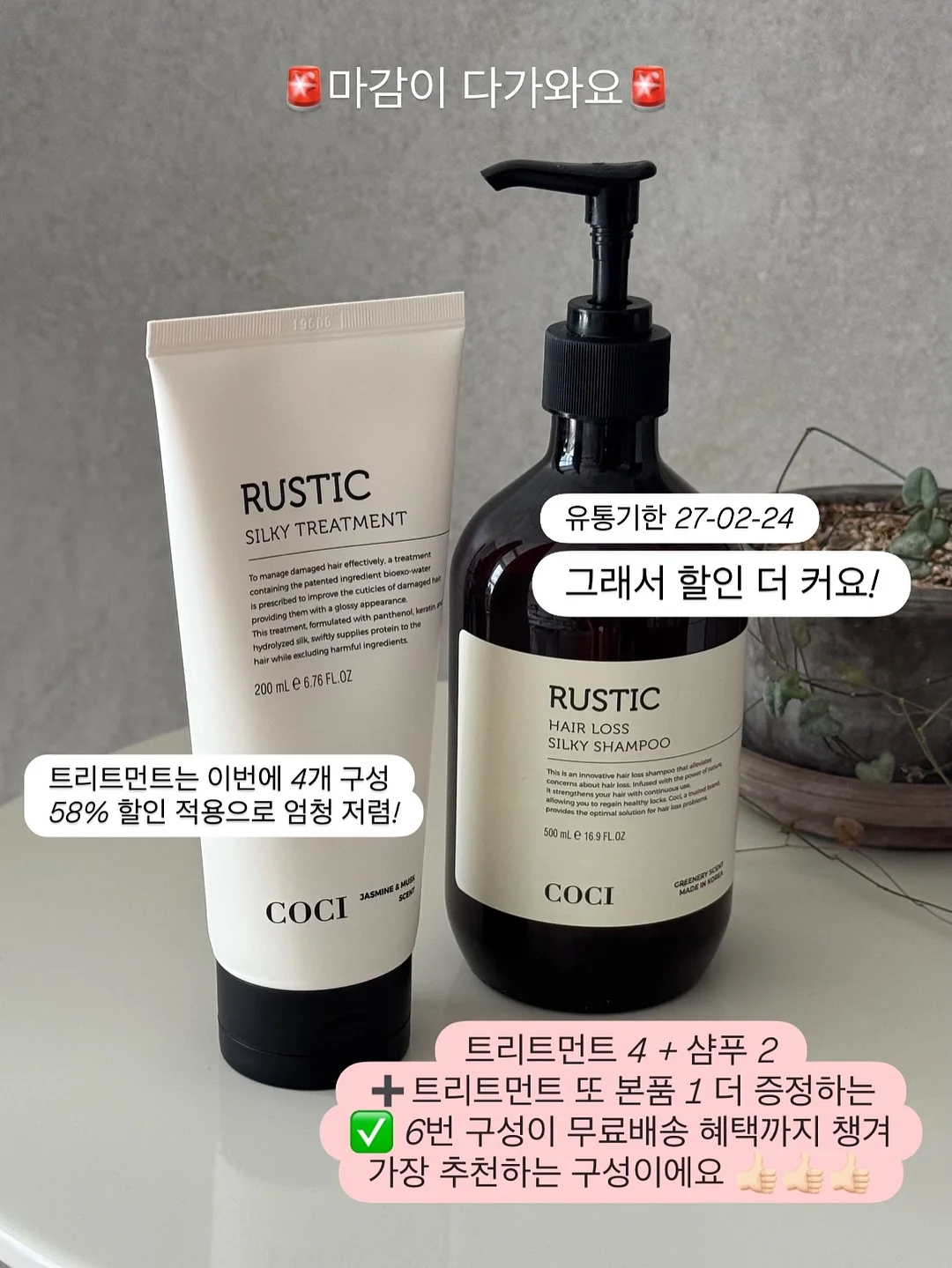바첸 접시팬 13