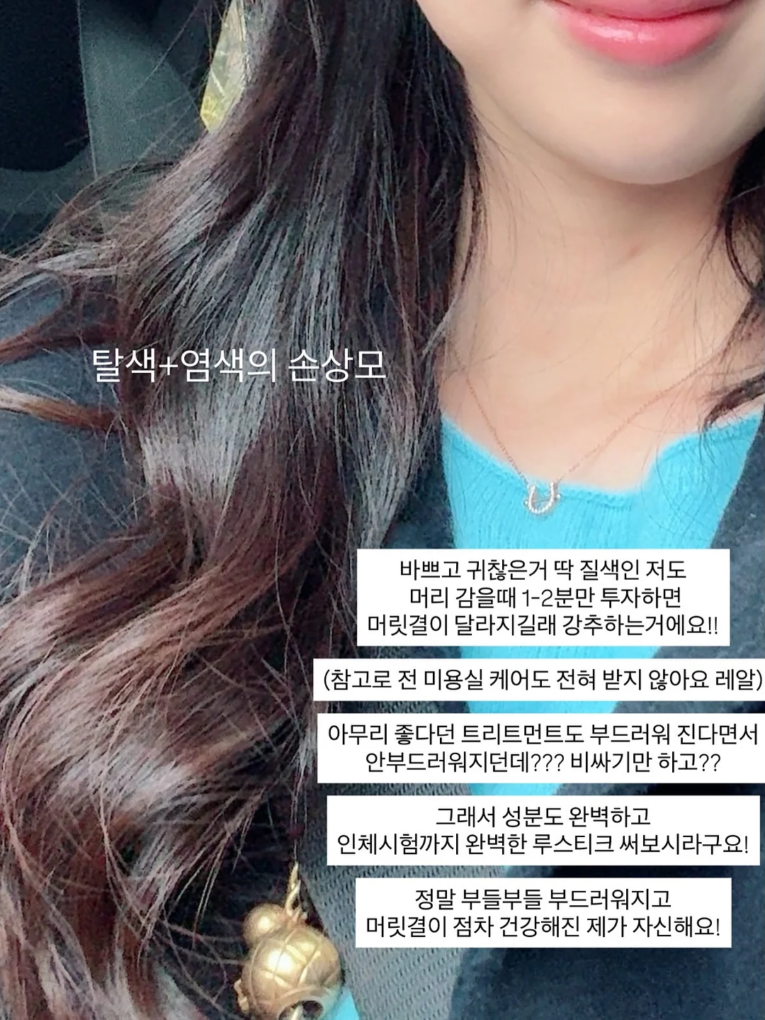 바첸 접시팬 17