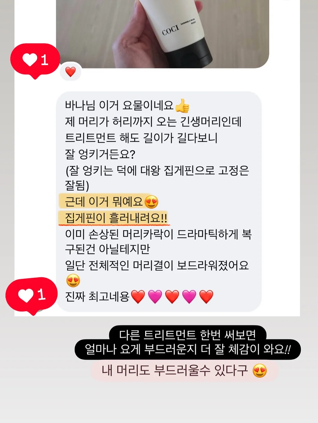 바첸 접시팬 3