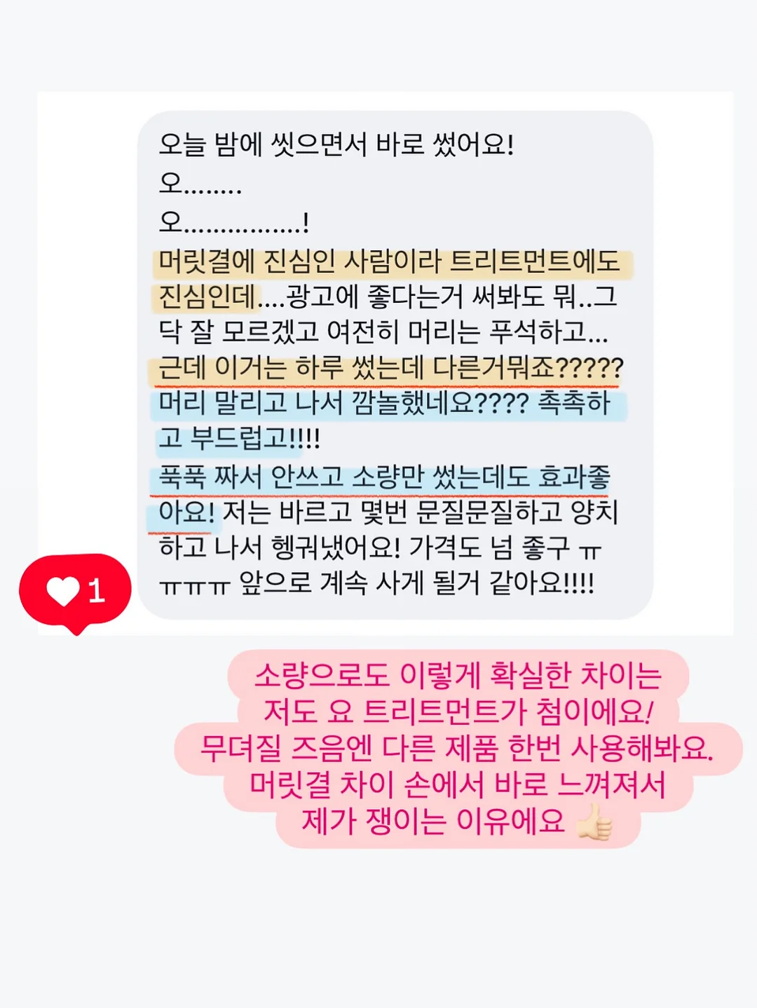 바첸 접시팬 4
