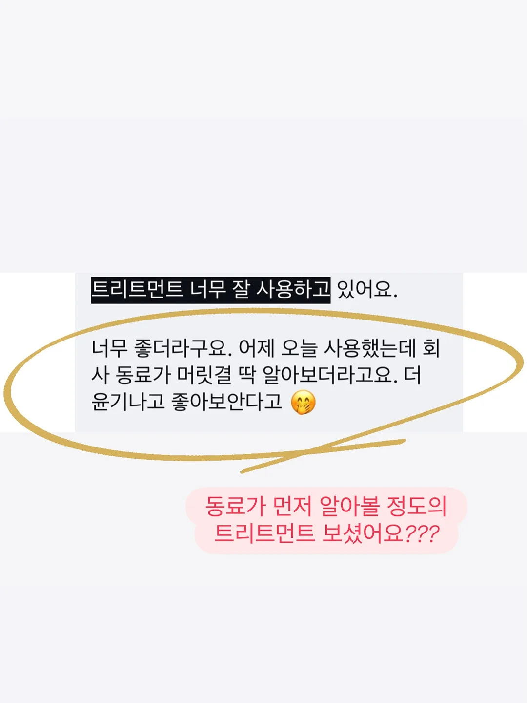 바첸 접시팬 6