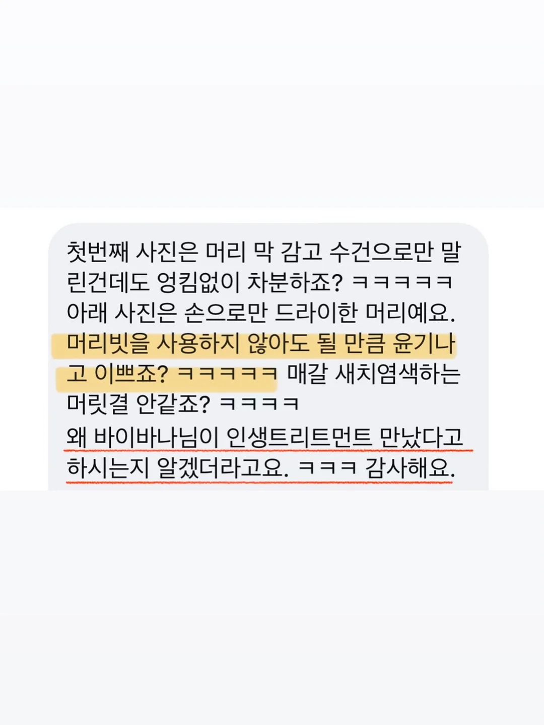 바첸 접시팬 7