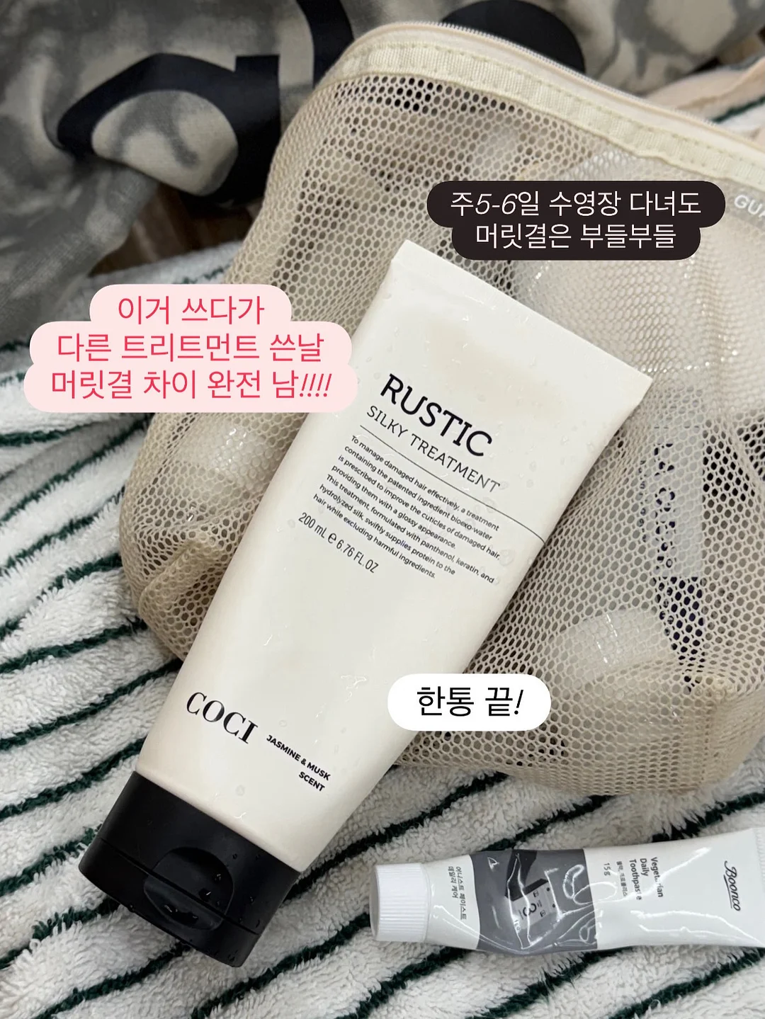 바첸 접시팬 9