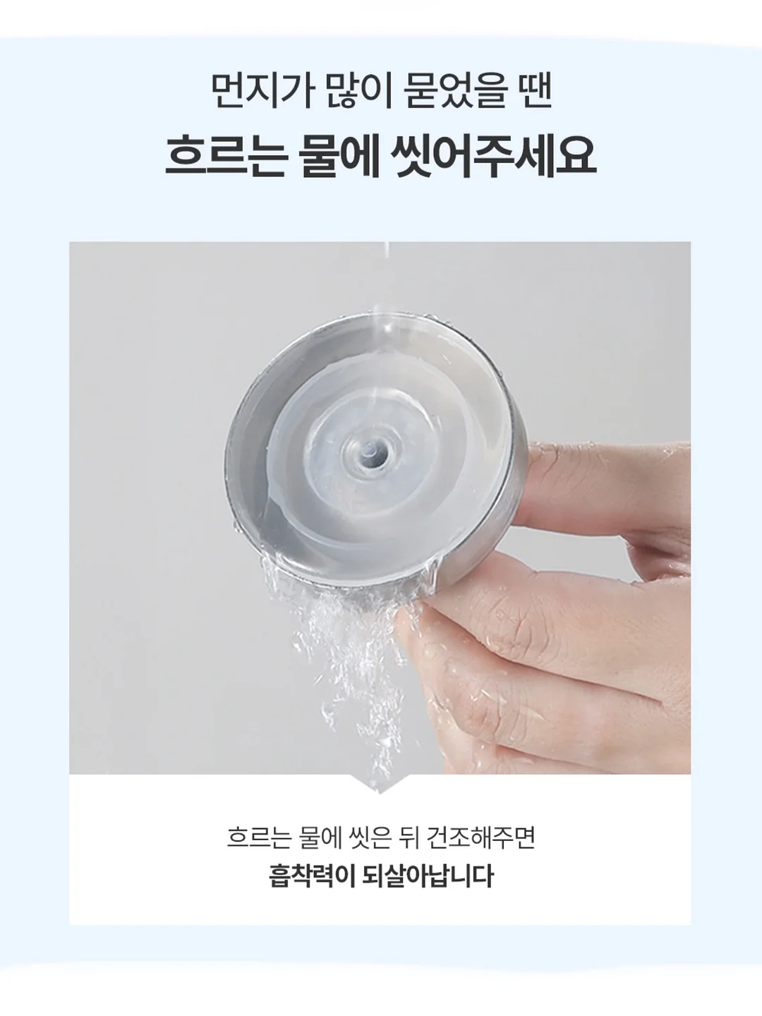 대석자두 12
