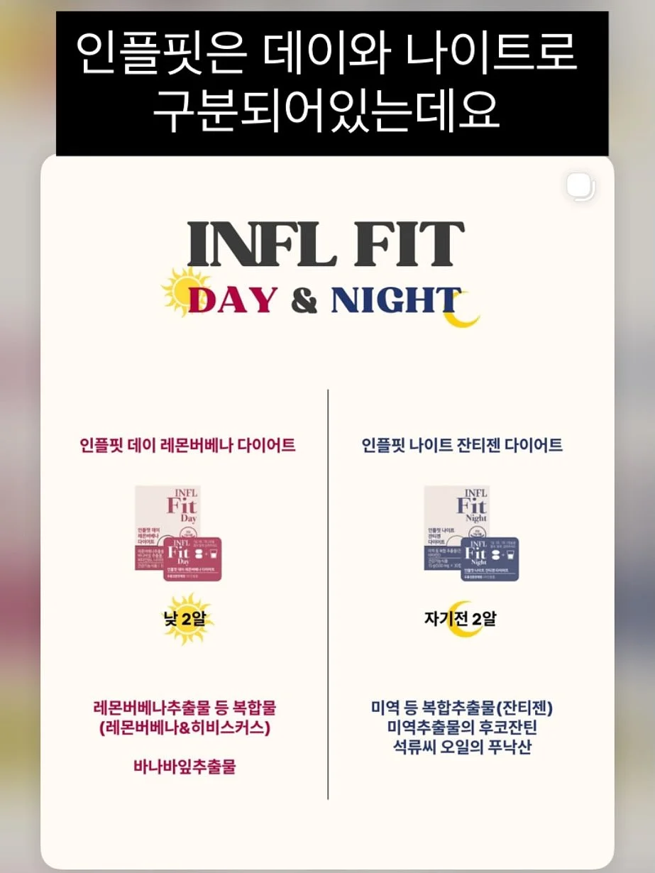 르메르원피스 2