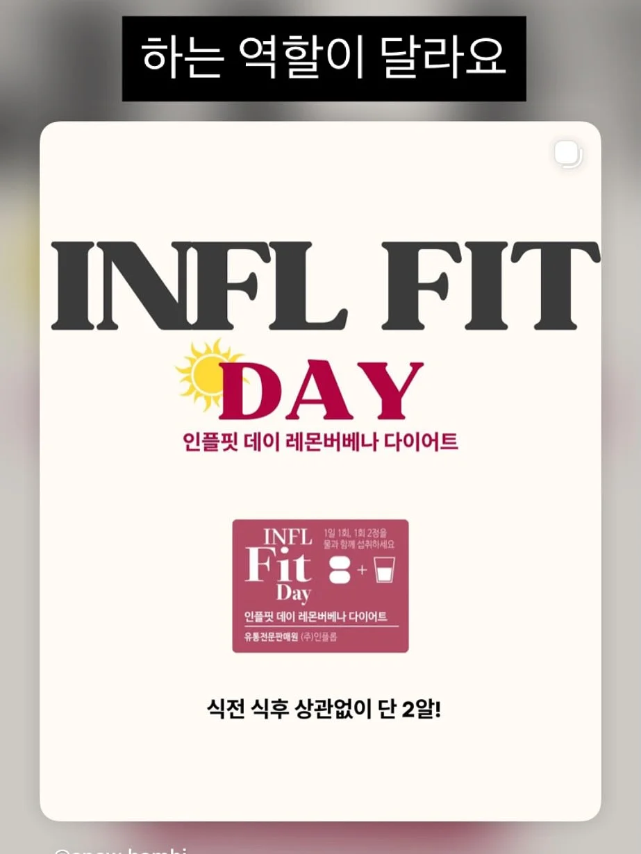 르메르원피스 3
