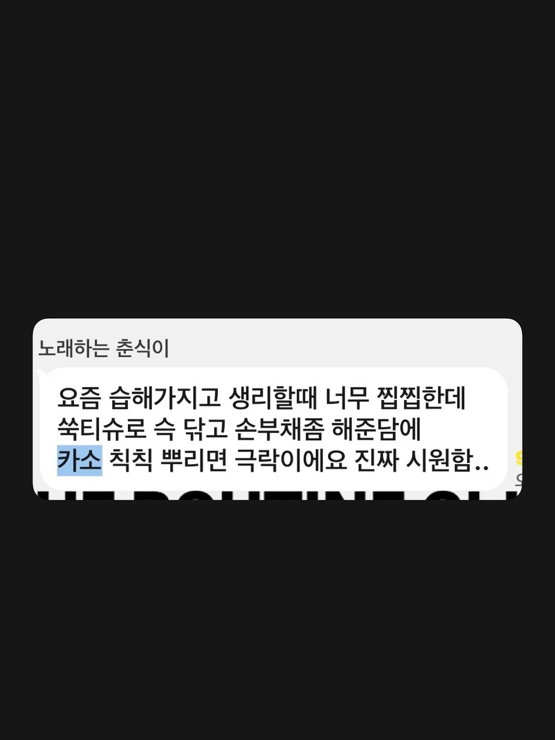 제주멜로우 설국향 5
