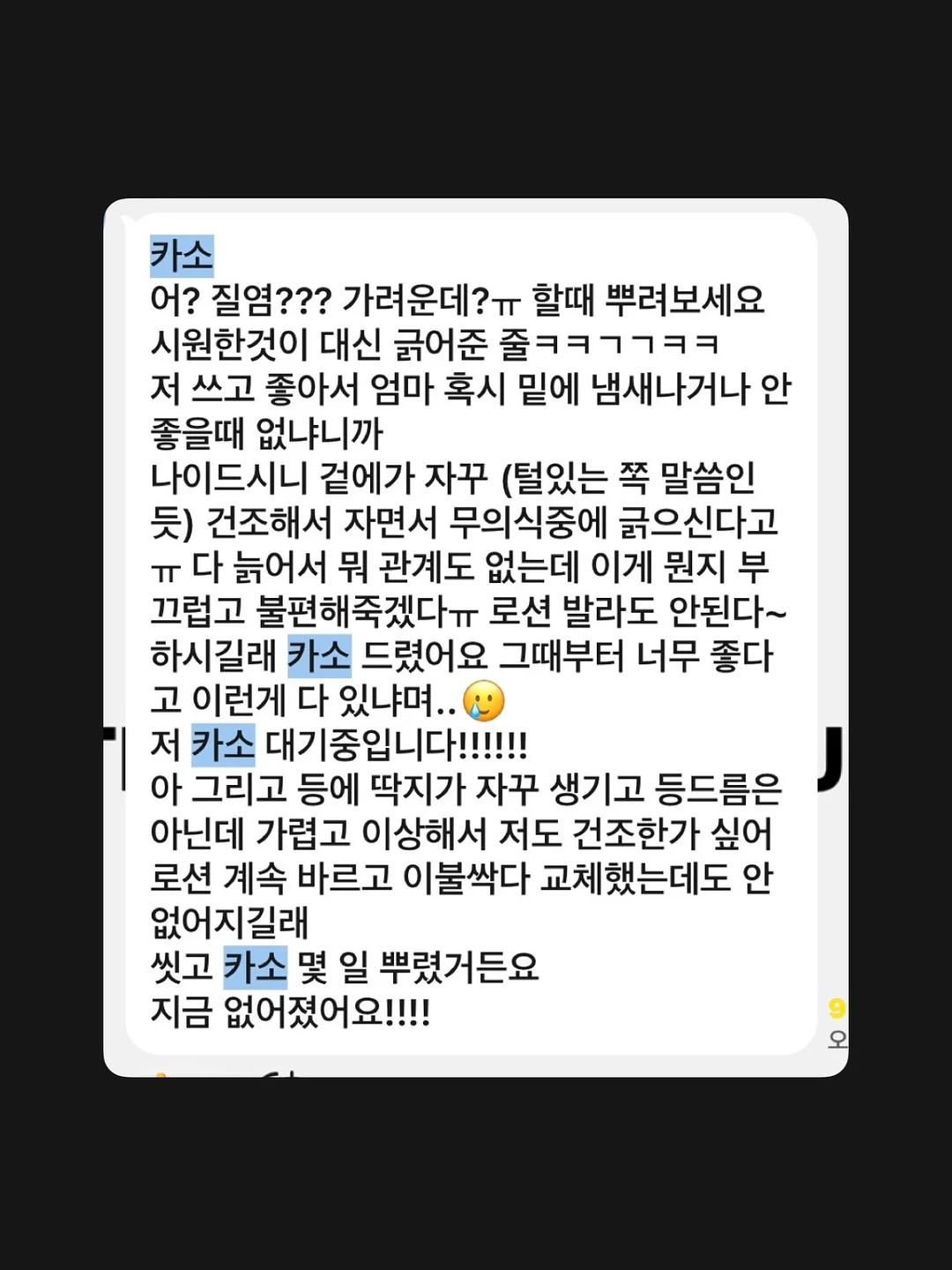 제주멜로우 설국향 7