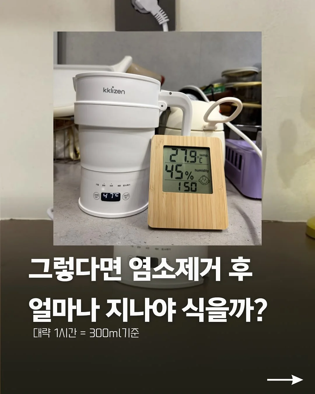 코이코야 봄신상 5