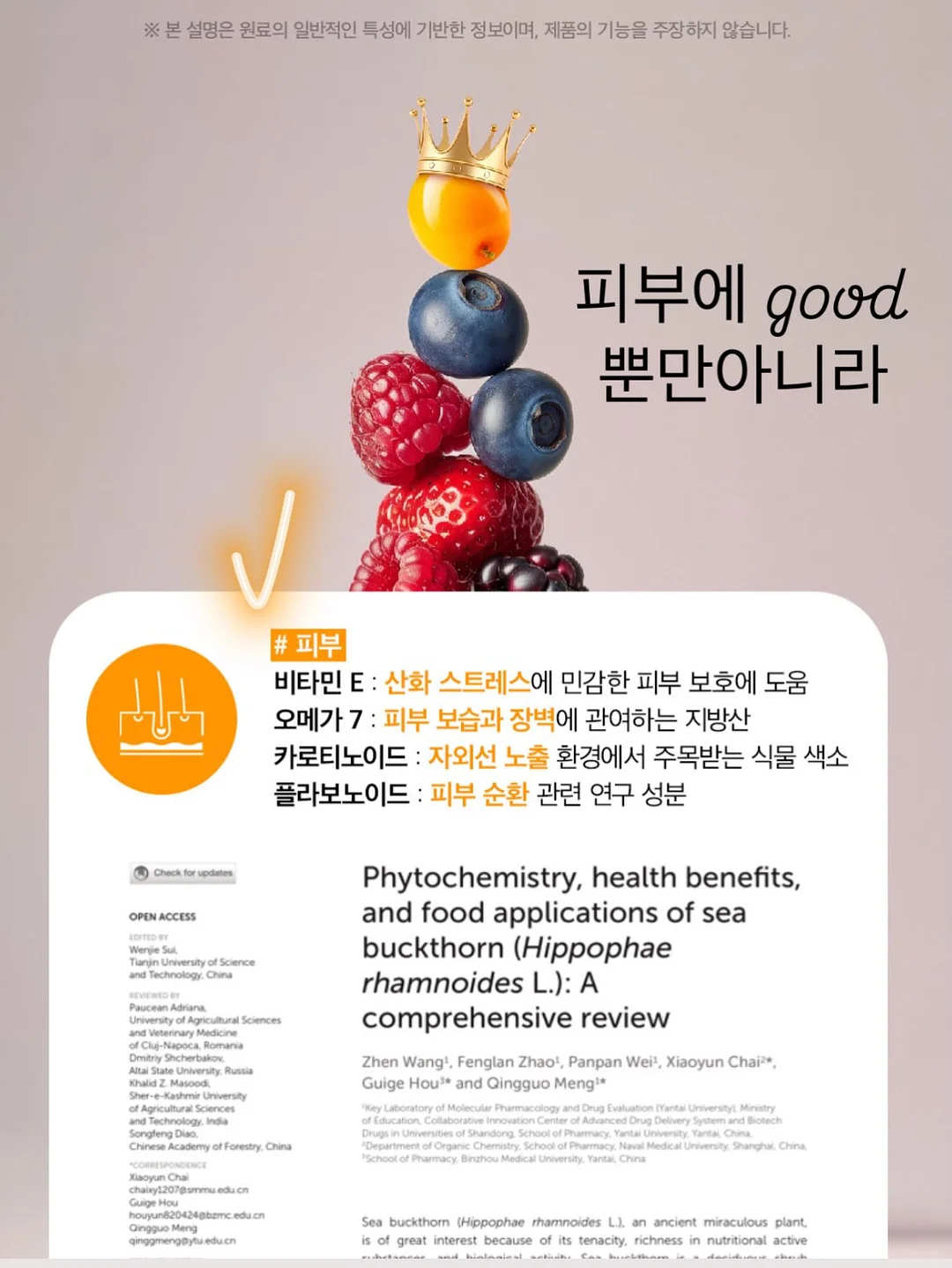 자가드 벌룬 블라우스 11