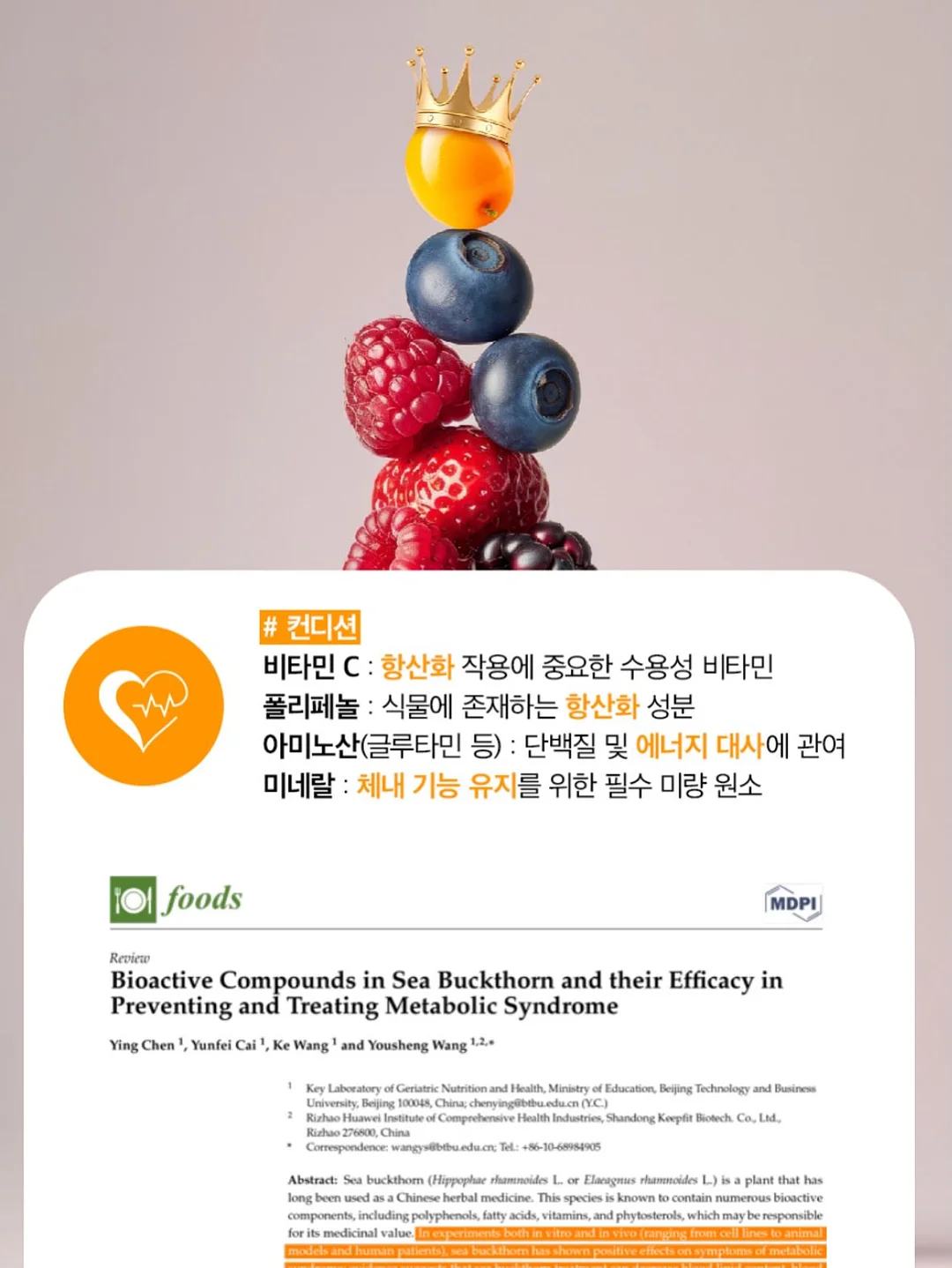 자가드 벌룬 블라우스 13