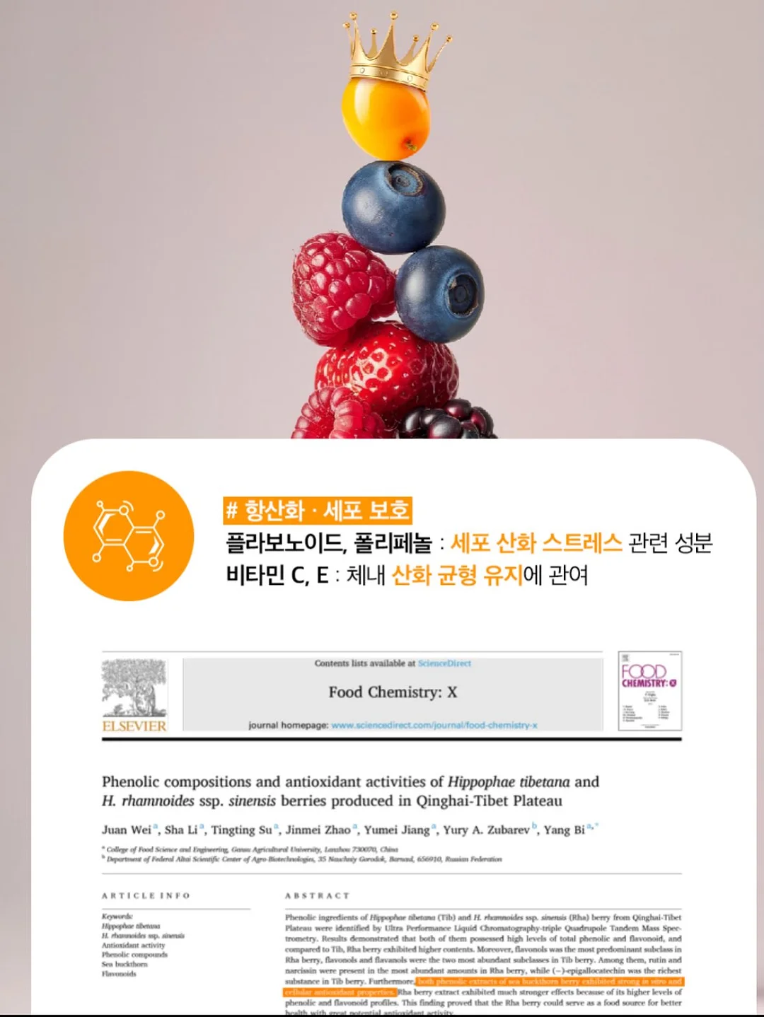 자가드 벌룬 블라우스 14