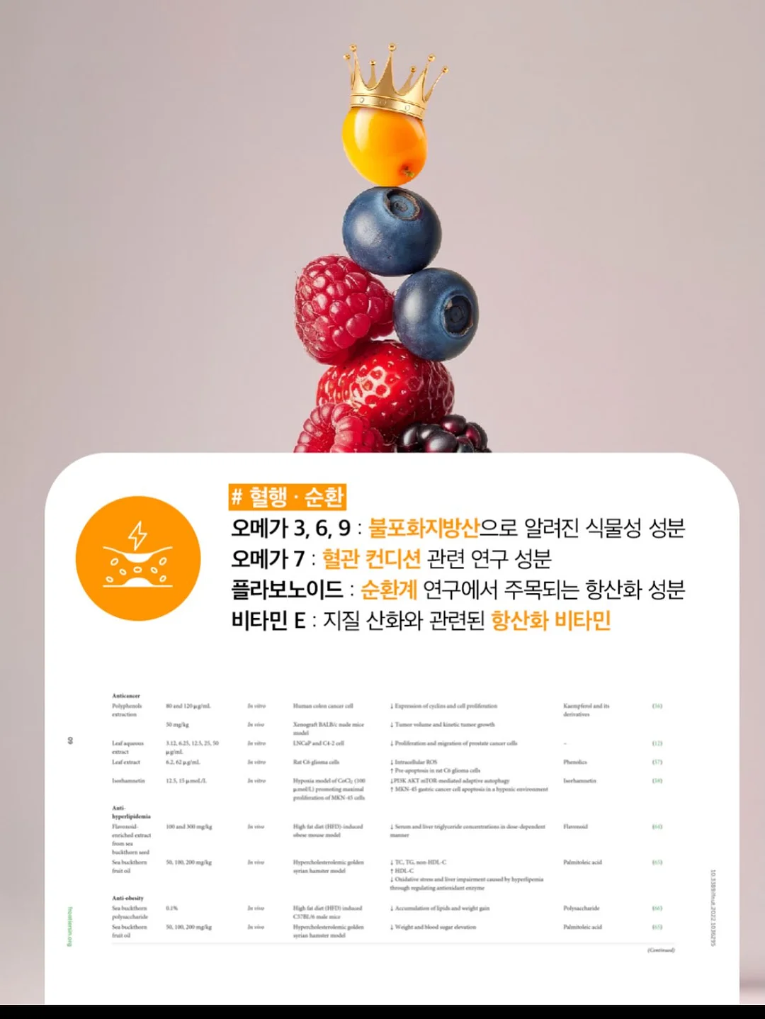 자가드 벌룬 블라우스 15