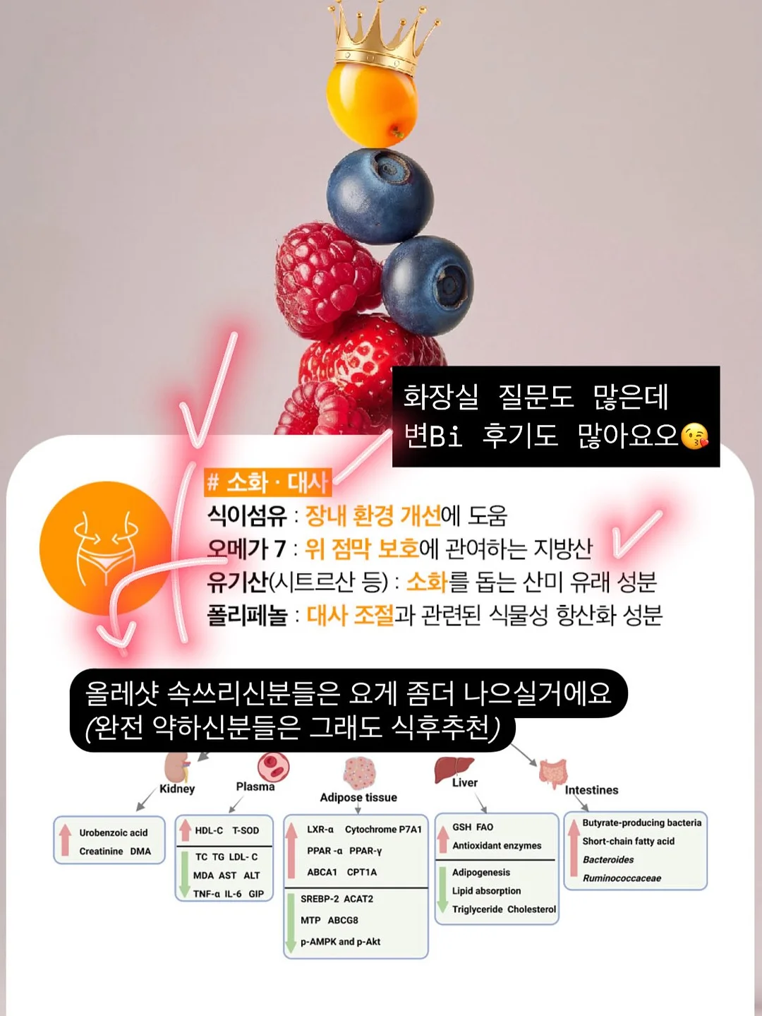 자가드 벌룬 블라우스 18