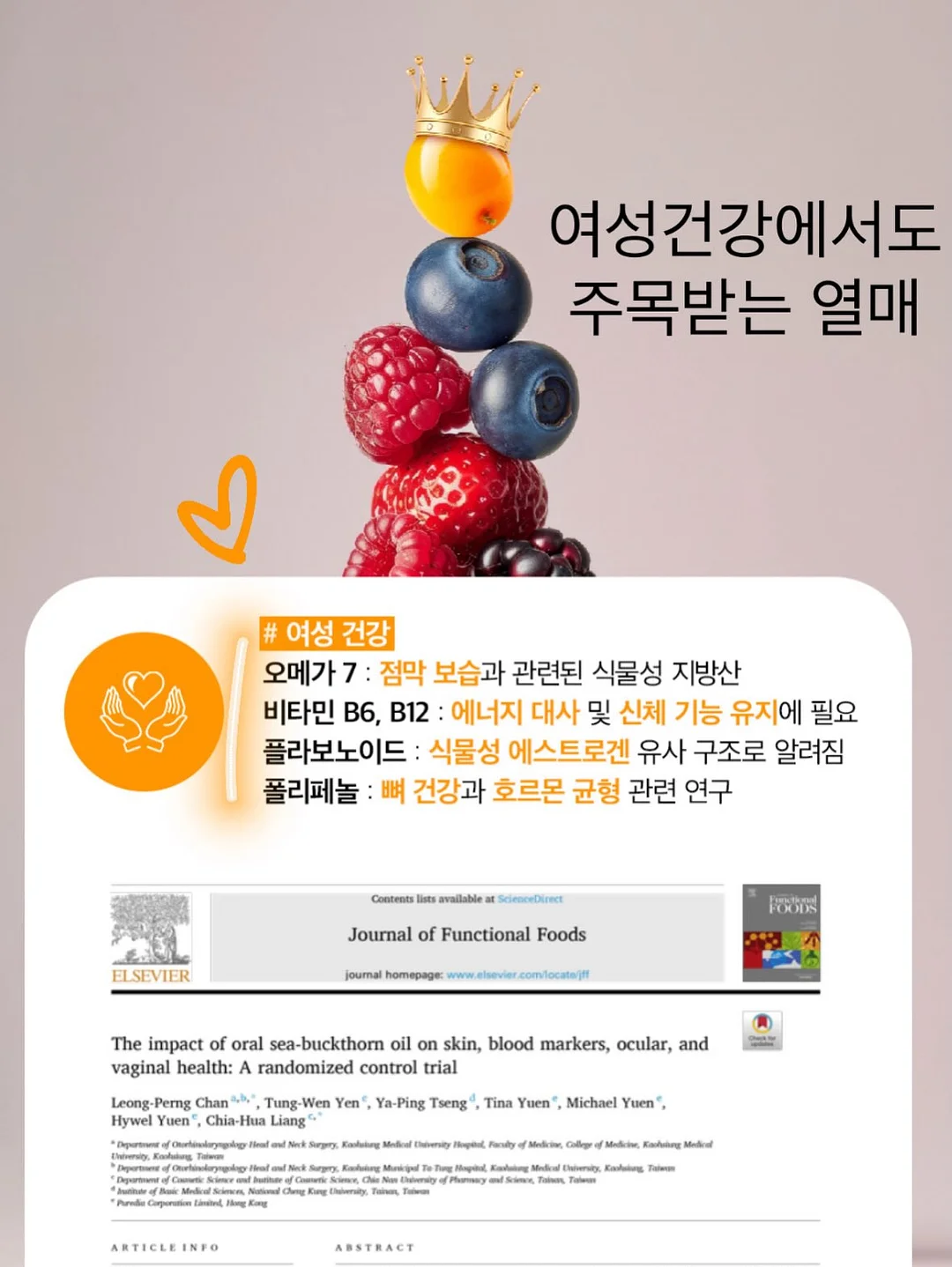 자가드 벌룬 블라우스 10