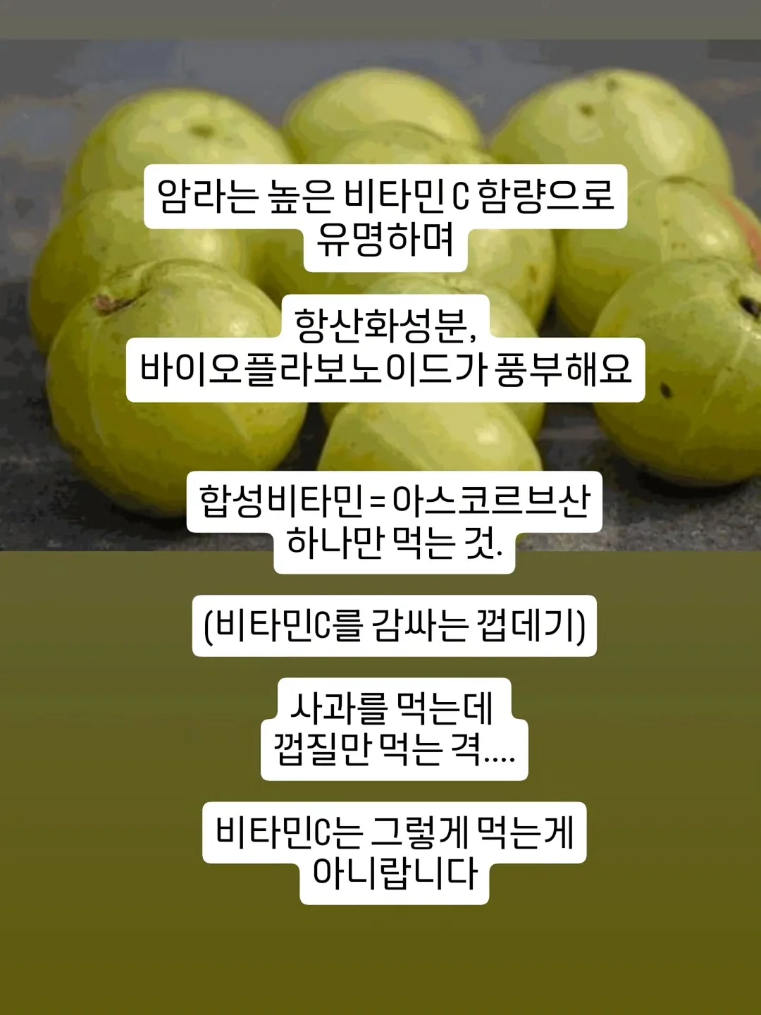 슈틸루스터 에어컨 선풍기 10