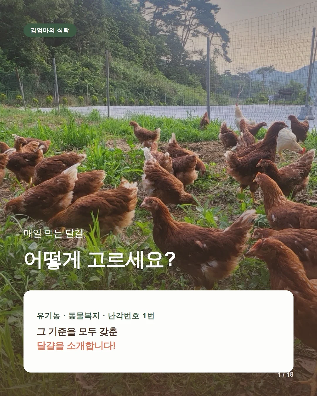 멜팅꽃 나시잠옷 1