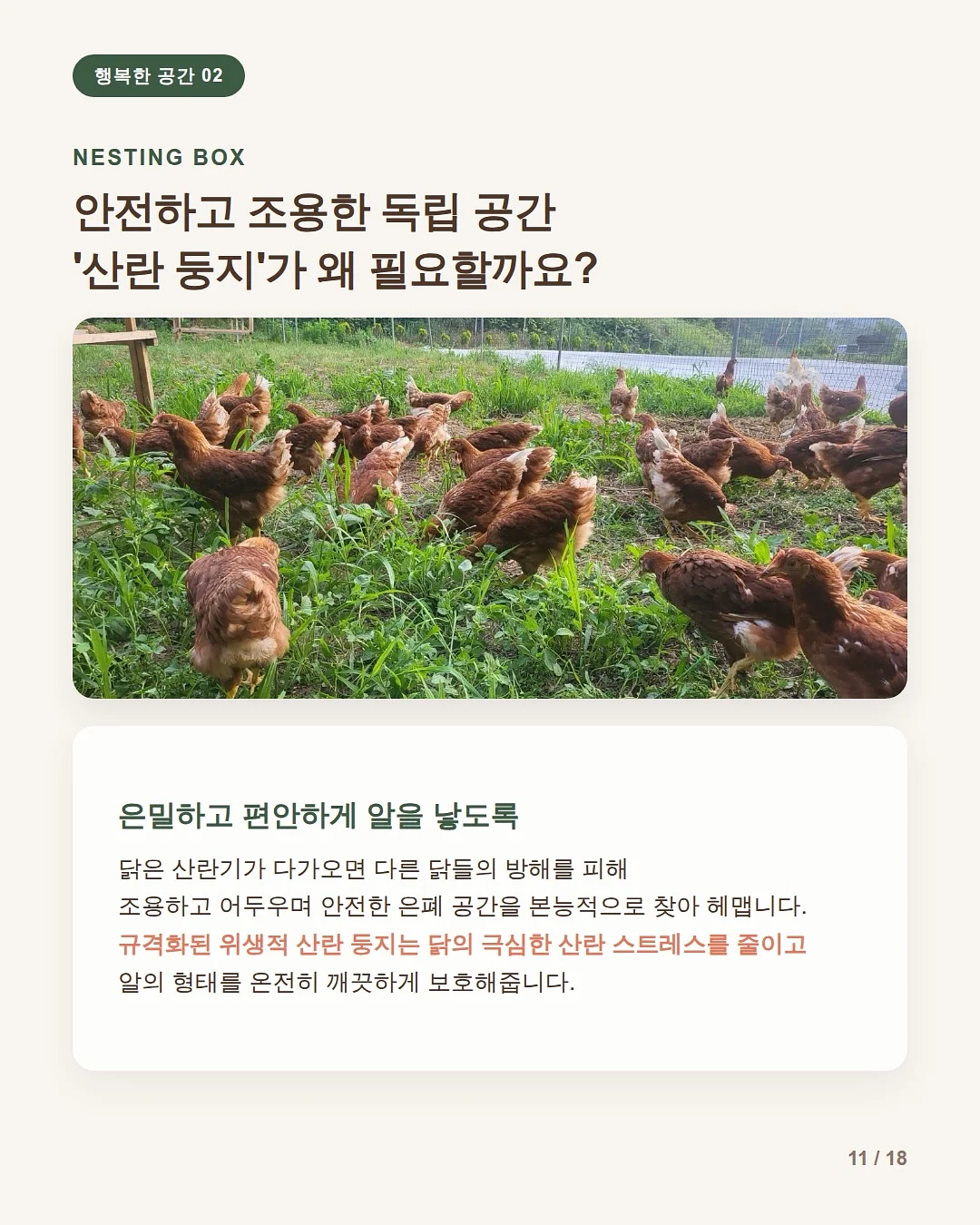 멜팅꽃 나시잠옷 11