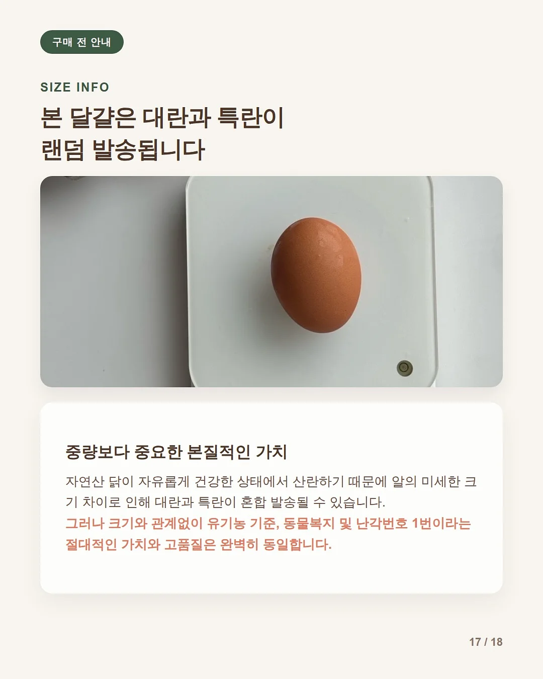 멜팅꽃 나시잠옷 17