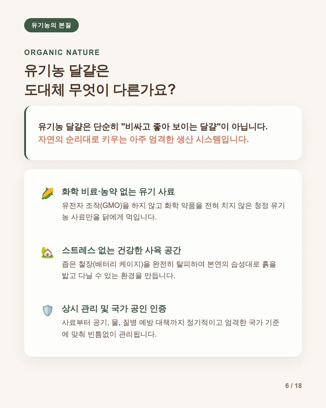 멜팅꽃 나시잠옷 6