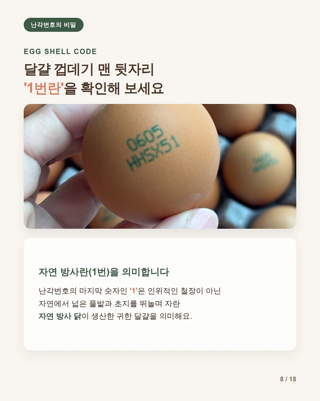 멜팅꽃 나시잠옷 8
