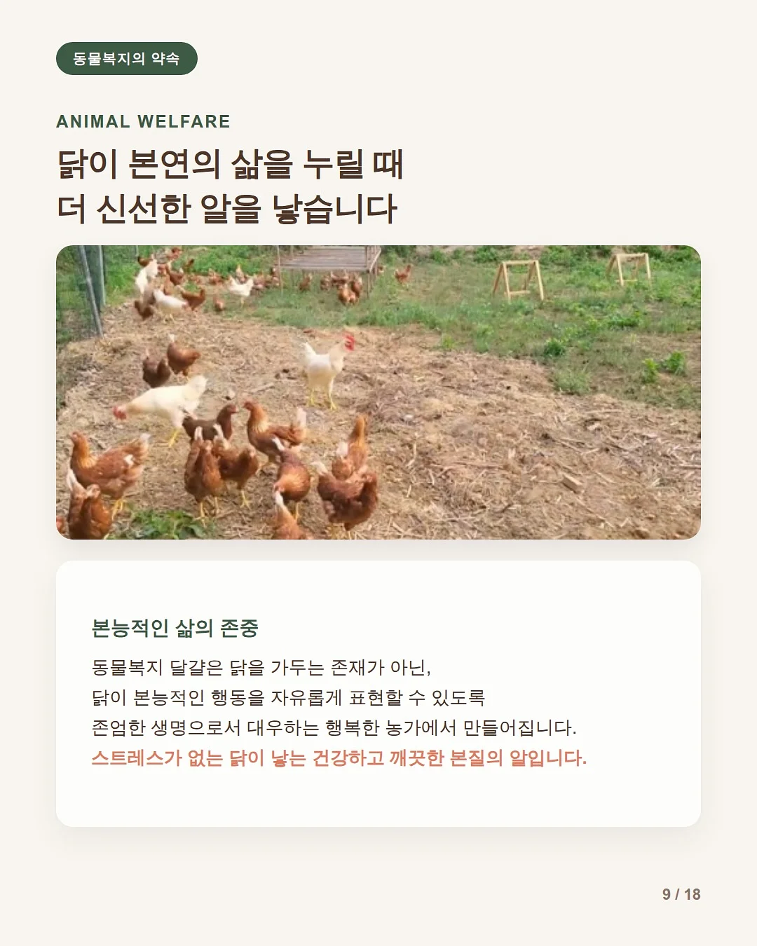 멜팅꽃 나시잠옷 9