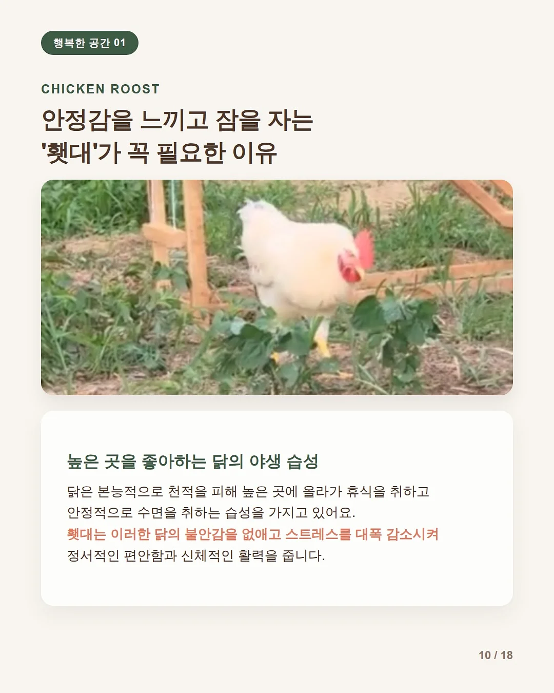 멜팅꽃 나시잠옷 10