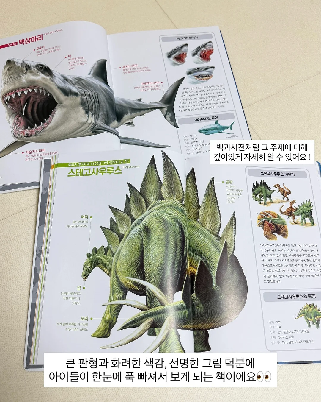 디유 포어블러 모공 관리 6