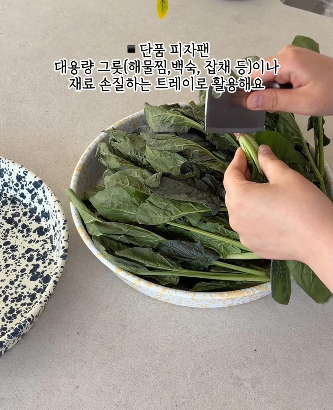 프랑스 요리의 기술 개정판 양장본 6
