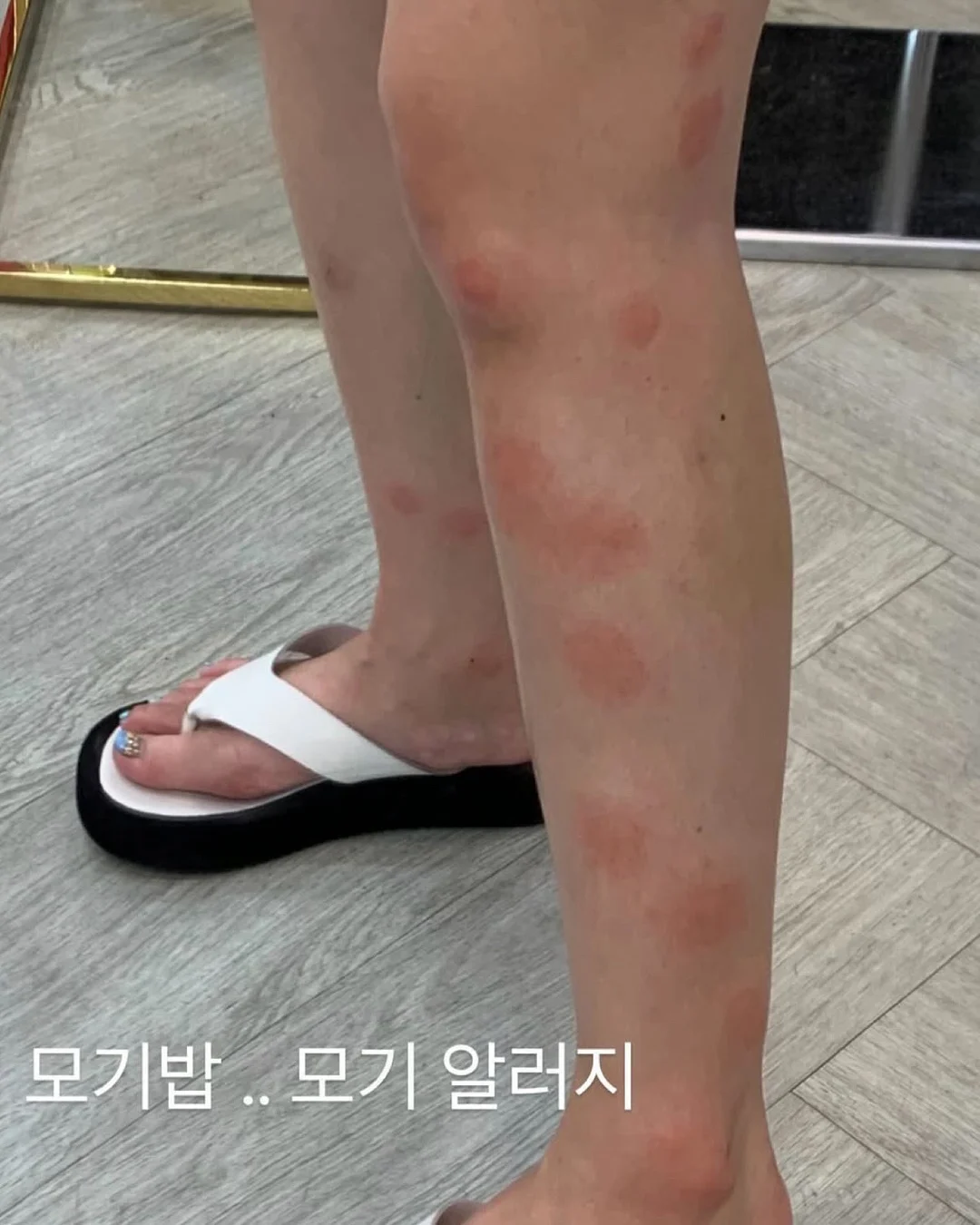 우산 5