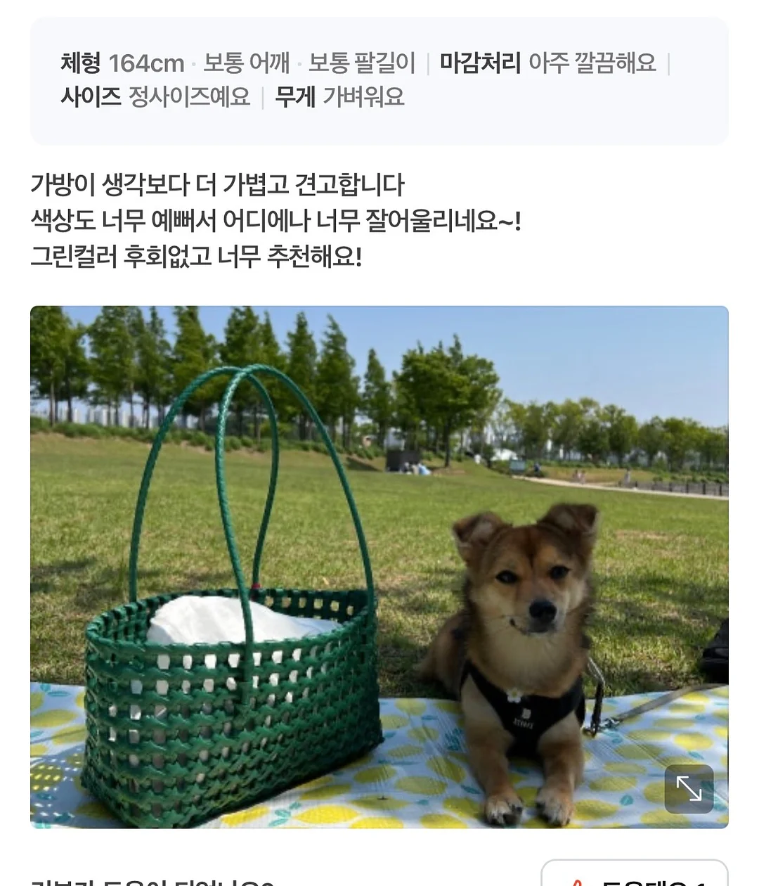 돌핀웨일 레쉬가드 3