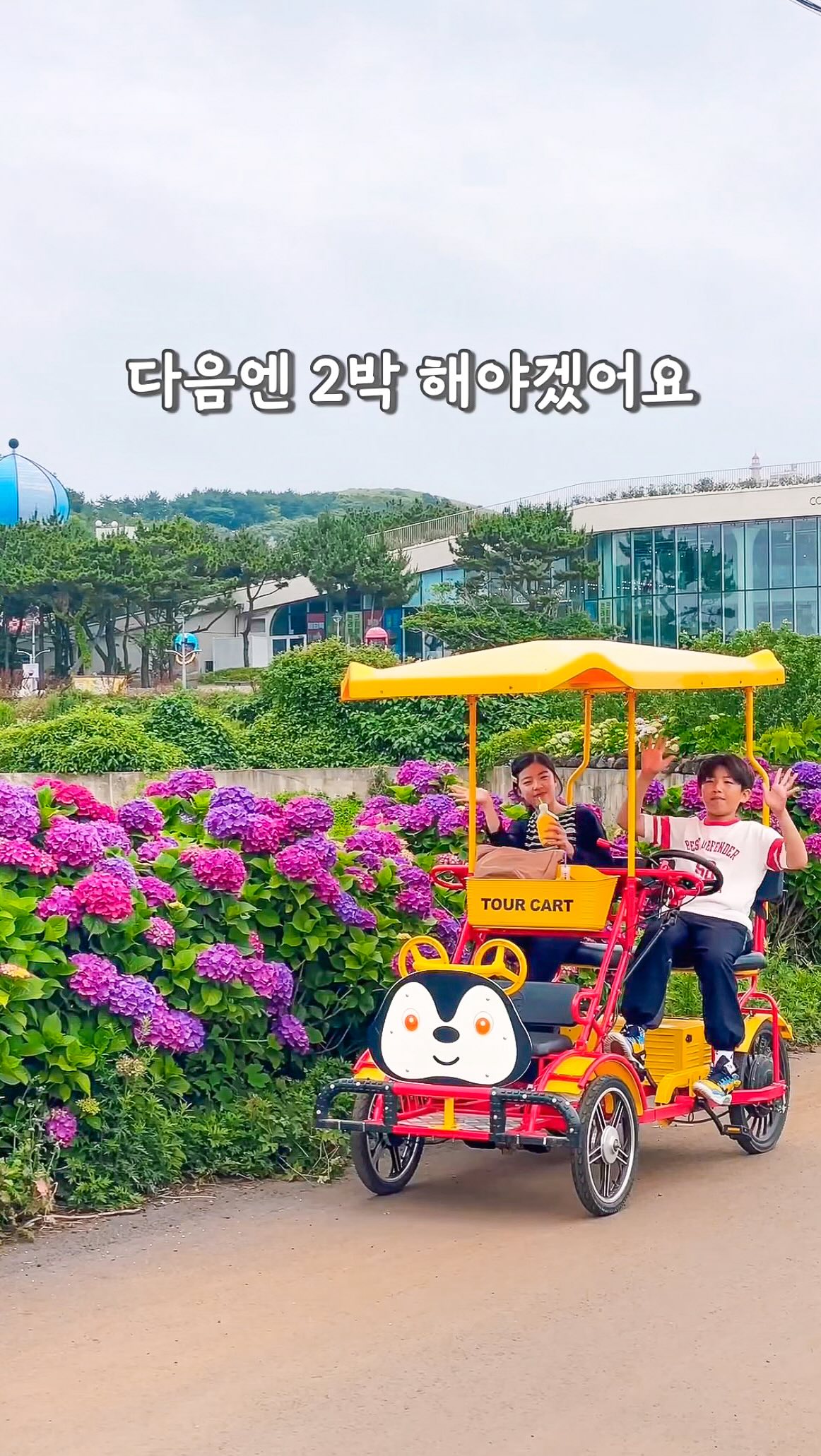 프리미엄 과외