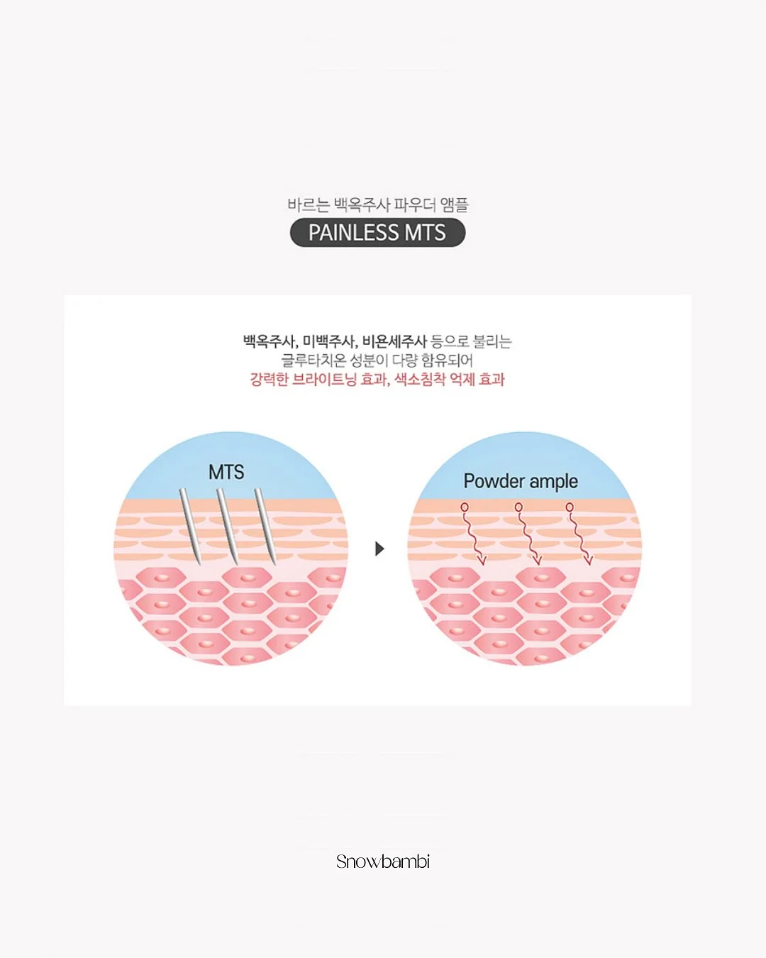 프로틴 웨하스 19