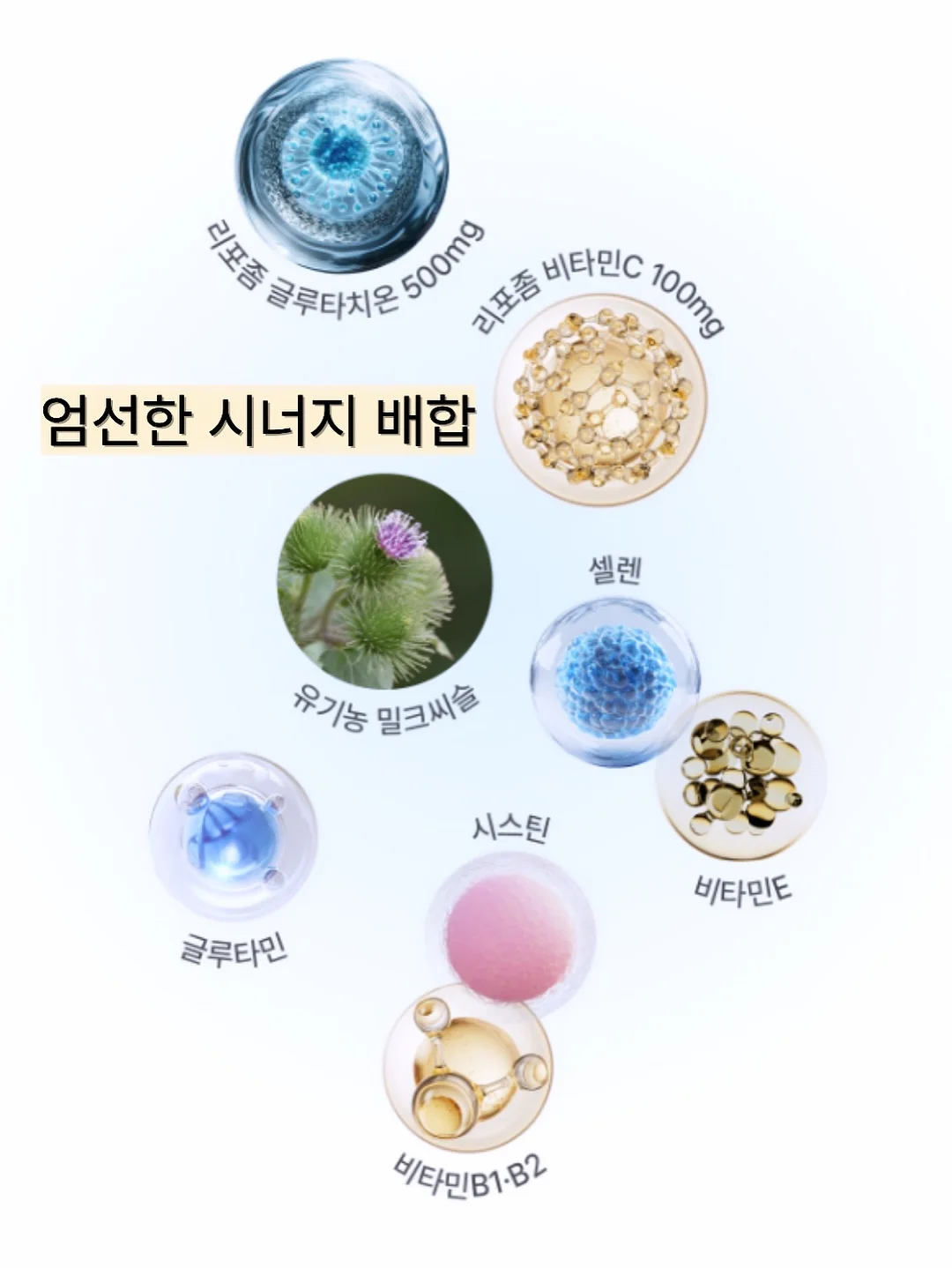 닥터모두 비건 샴푸 3