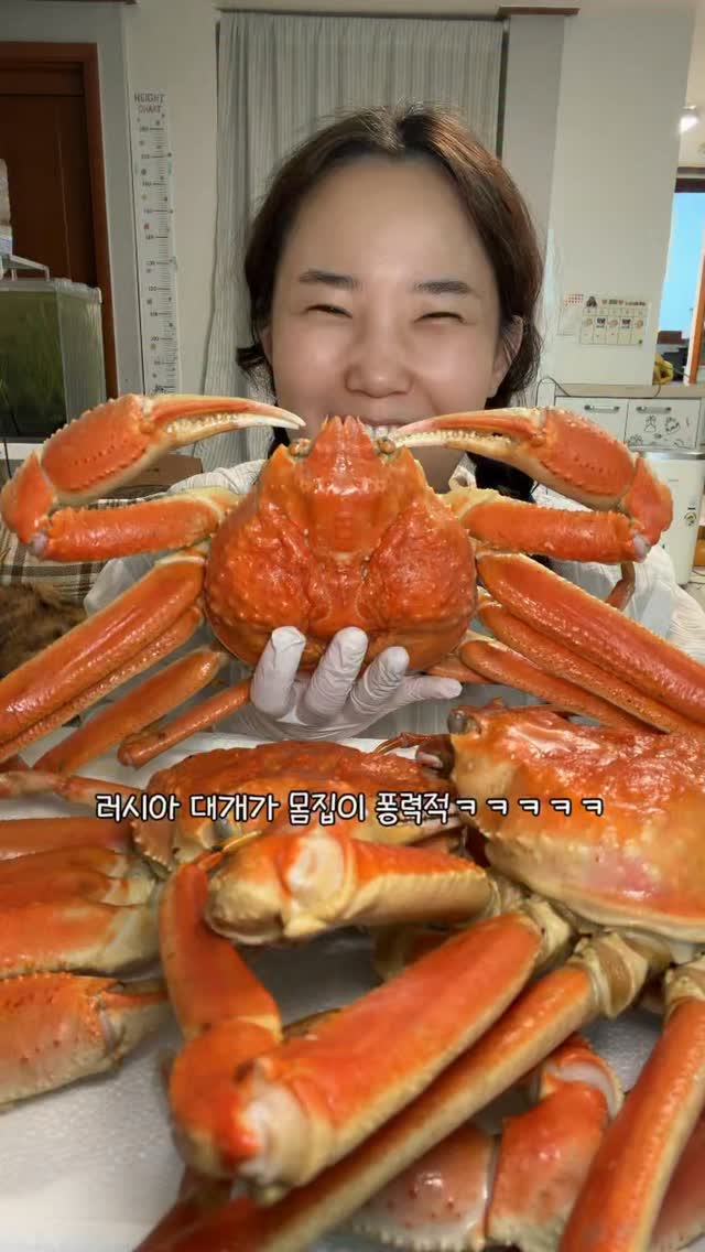 세탁기 건조기 문 열림 방지 흡착식 거치대