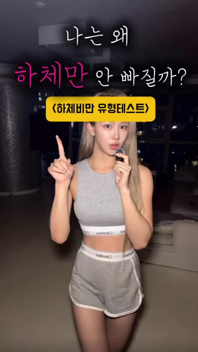 엔틱 레이스 블라우스