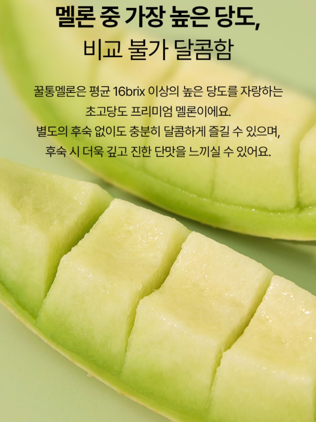 무화과산도 & 무화과볼 4