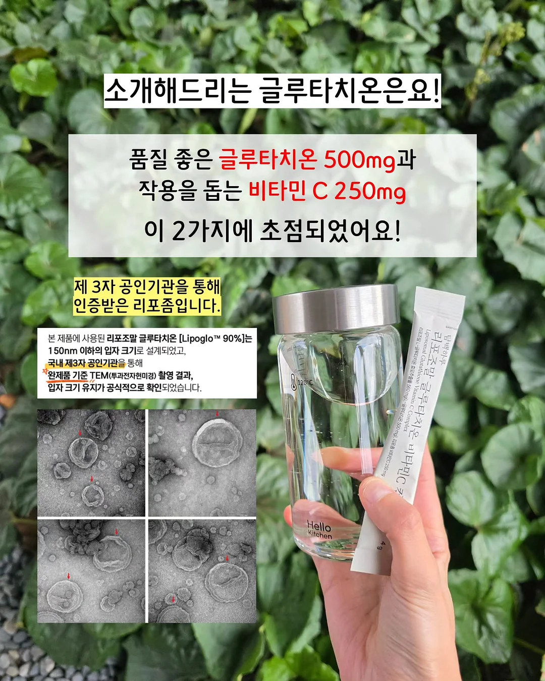 [저당] 아망디오 쇼콜라 사브레 6