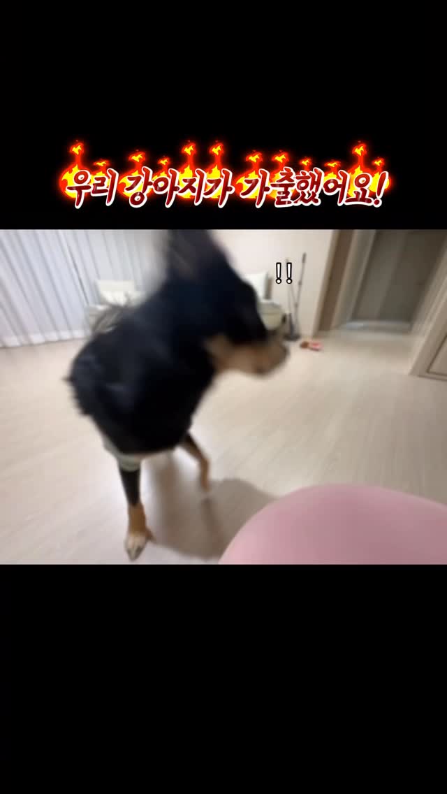 규빈맘 착용 영상