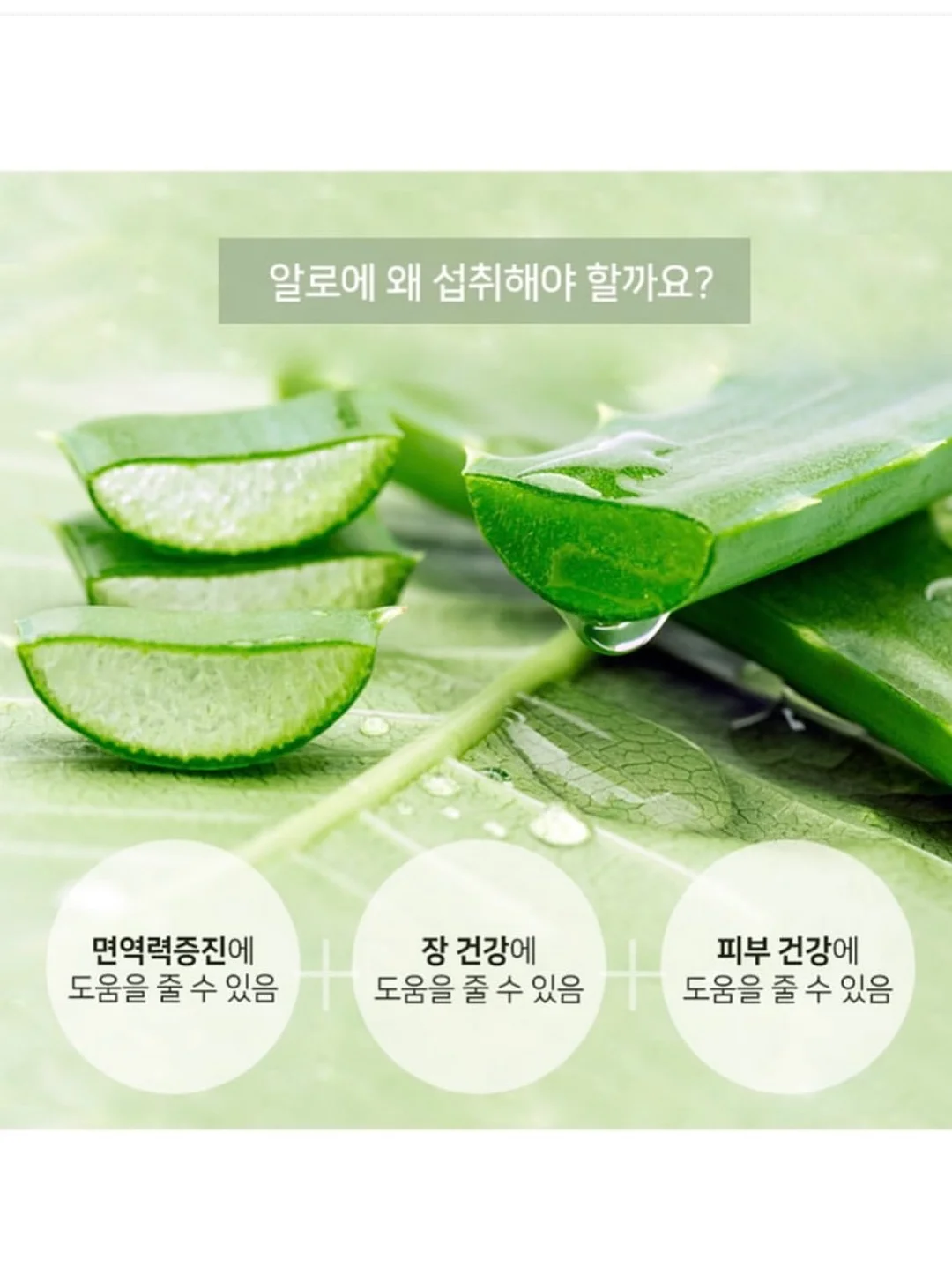 크리스마스 딸기 케이크 16