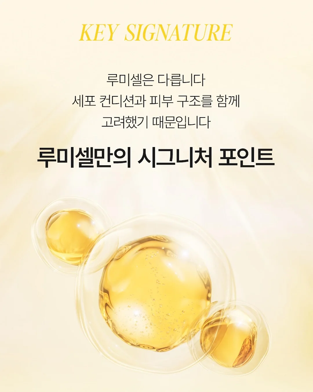 노란꽃 상하세트 14