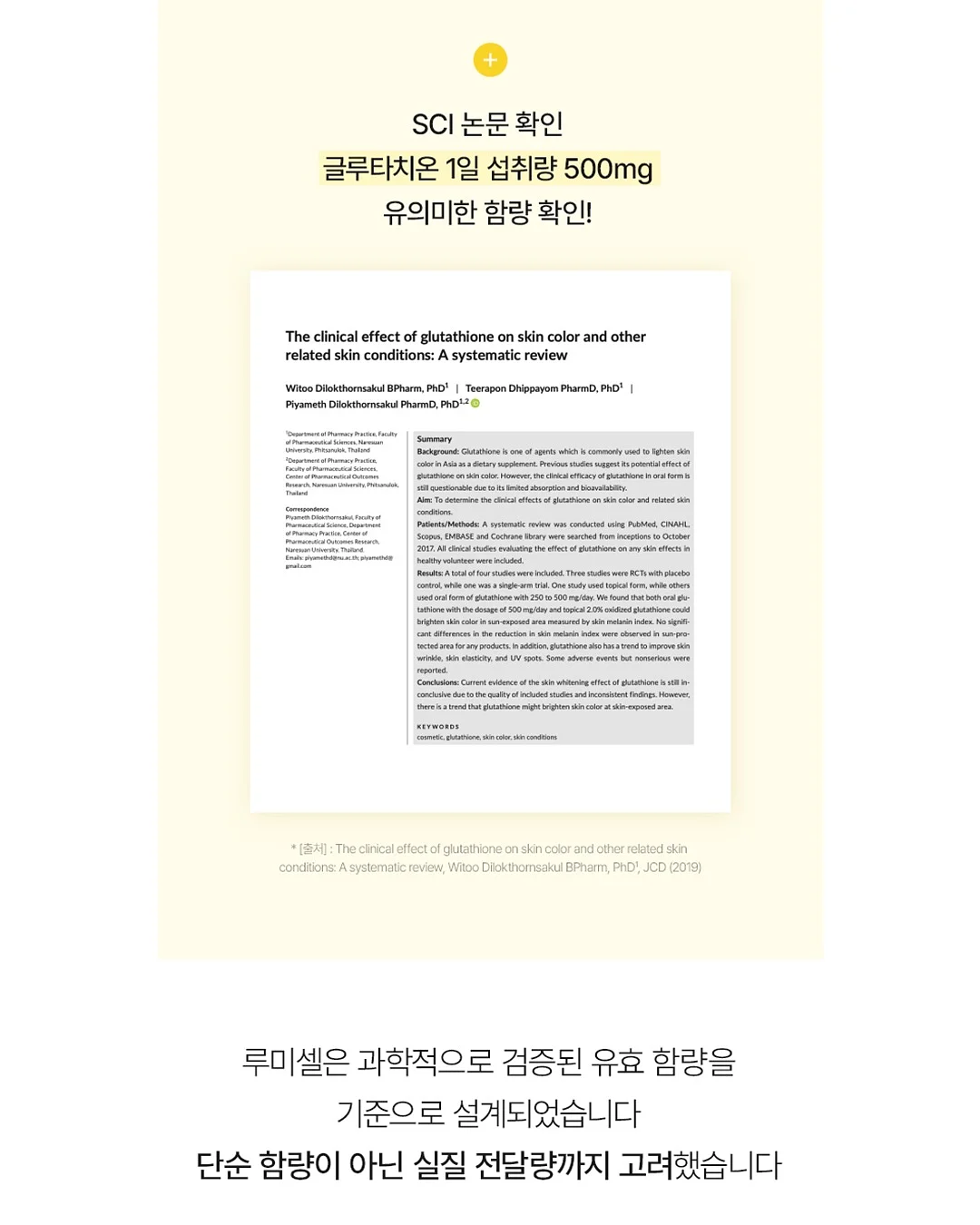 노란꽃 상하세트 16